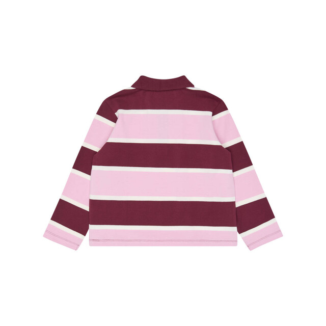 The New Polo tn7170 The New Polo TN7170 large