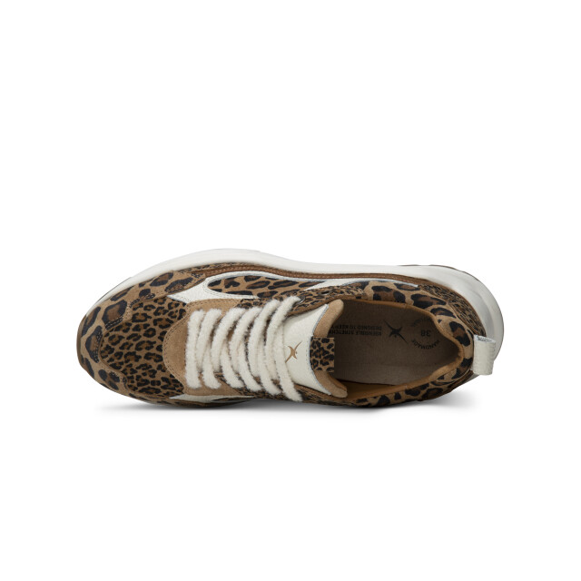 Xsensible 33004.4.625 Sneakers Print / Multi 33004.4.625 large
