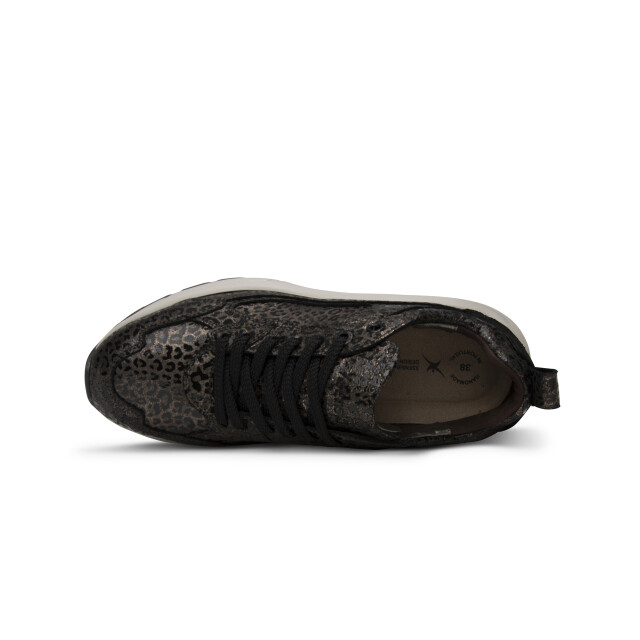 Xsensible 33004.4.389 Sneakers Brons 33004.4.389 large
