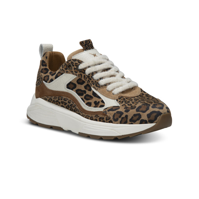 Xsensible 33004.4.625 Sneakers Print / Multi 33004.4.625 large