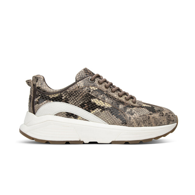 Xsensible 33013.4.383 Sneakers Bruin 33013.4.383 large