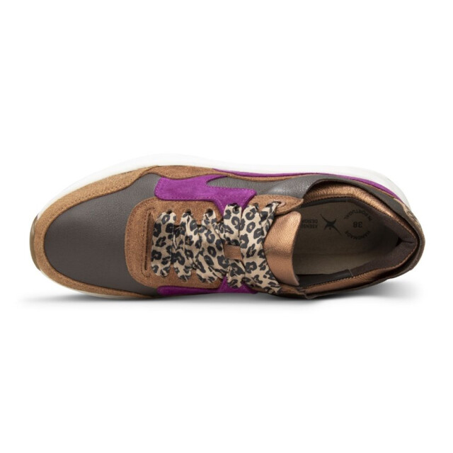 Xsensible 33000.3-Golden Gate Lady Veterschoenen Bruin 33000.3-Golden Gate Lady large