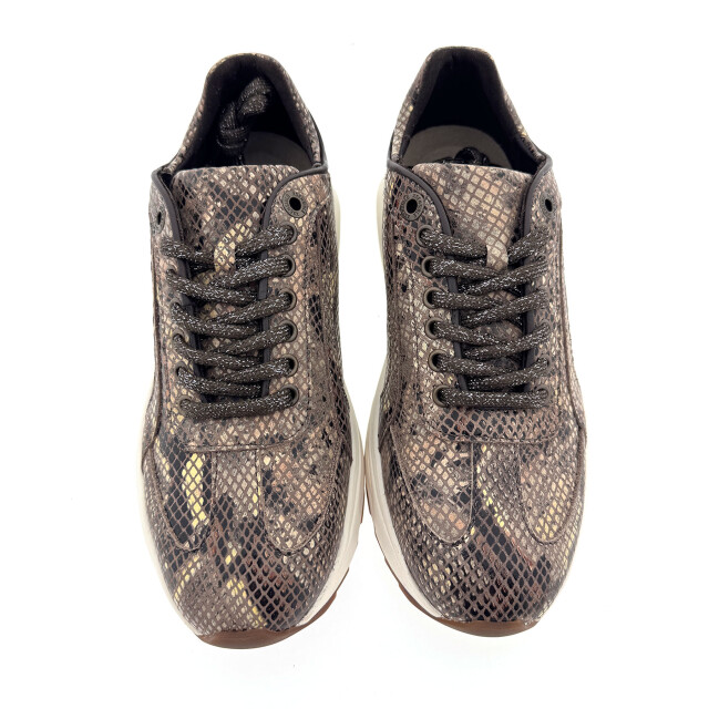 Xsensible 33013.4 Sneakers Bruin 33013.4 large