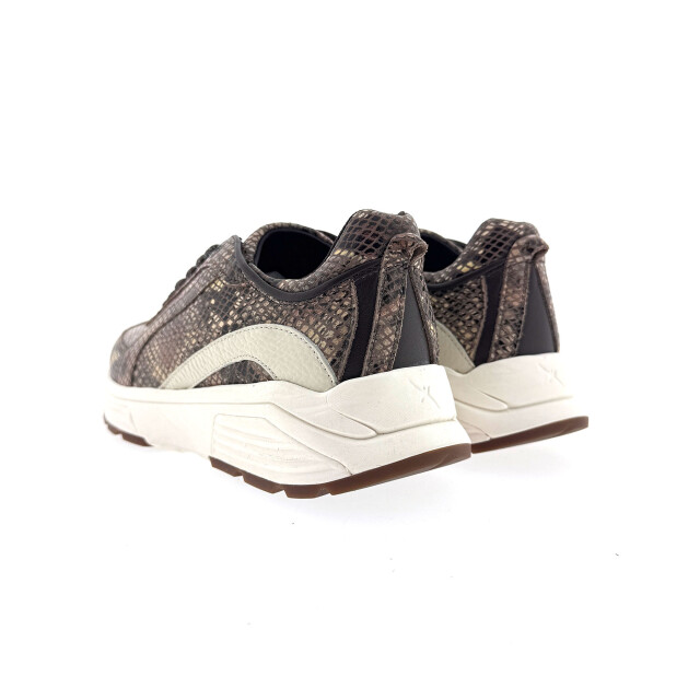 Xsensible 33013.4 Sneakers Bruin 33013.4 large