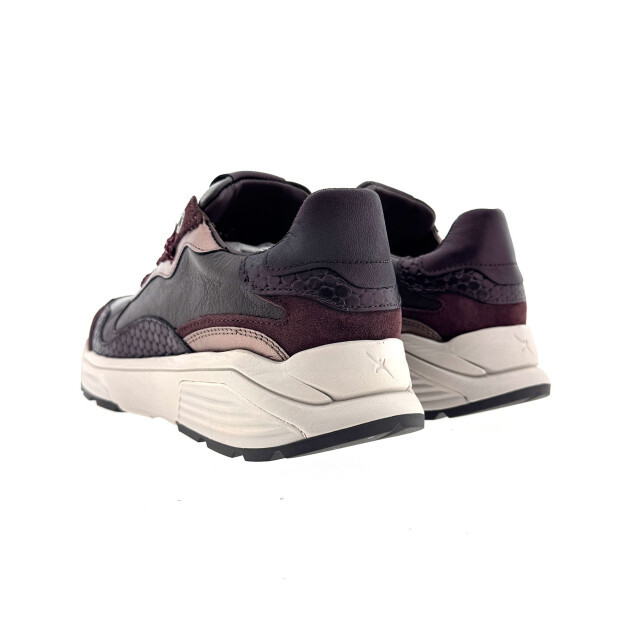 Xsensible 33011.3 Sneakers Bordeaux 33011.3 large