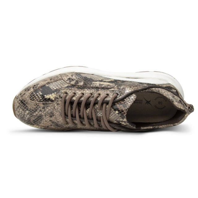 Xsensible 33013.4-Bailey Veterschoenen Bruin 33013.4-Bailey large
