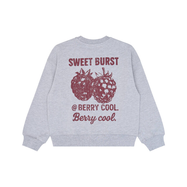 The New Sweat tn7179 The New Sweat TN7179 large