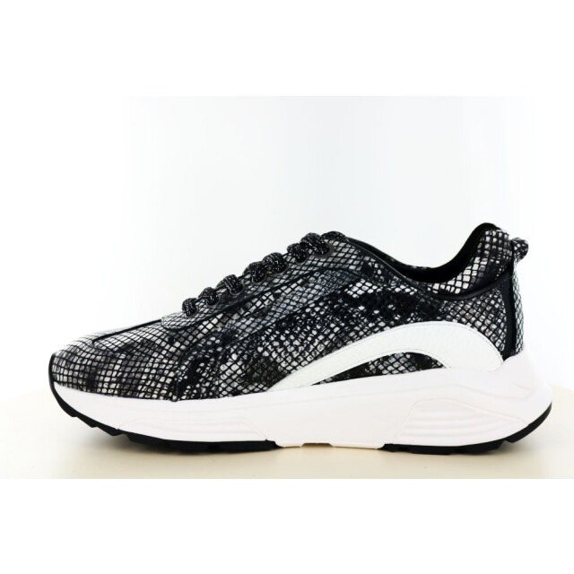 Xsensible 237.01.070 Sneakers Print / Multi 237.01.070 large