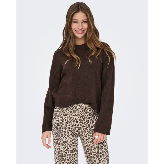 Only Pullover 15368976 onlsimon Only Pullover 15368976 ONLSIMON large