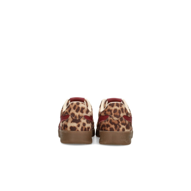 Posh by Poelman C1513403psh7 brown 3604 C1513403PSH7 large