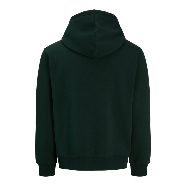 Jack & Jones 12233972 star 5209.27.0083 large