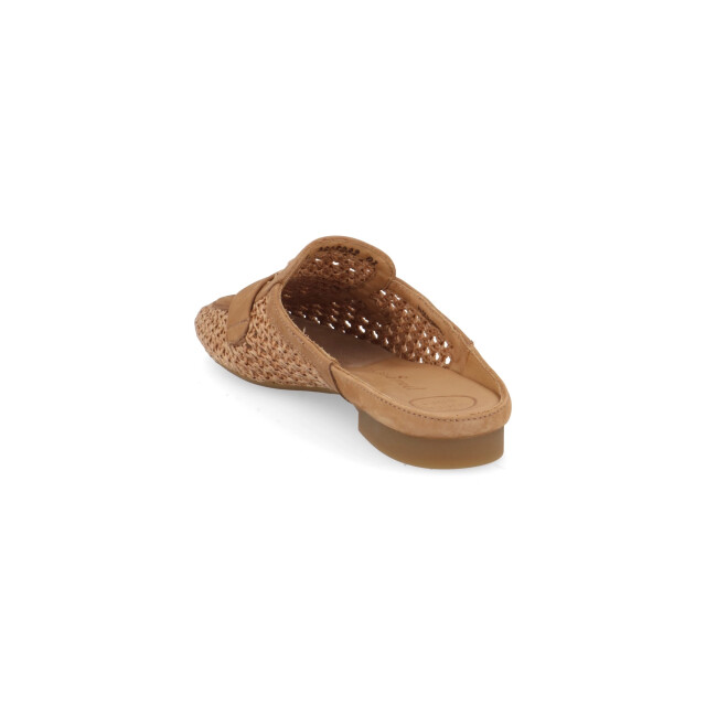 Paul Green 6207 Muiltjes Bruin 6207 large