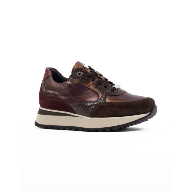 Footnotes 31.002 31.002 large