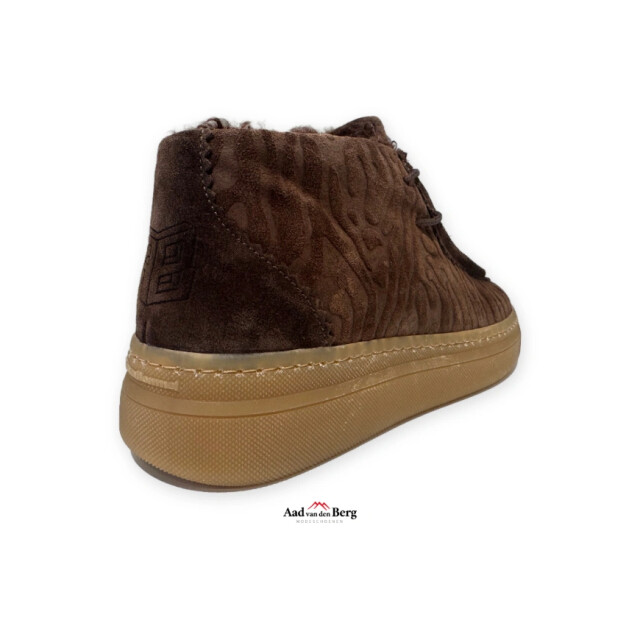Floris van Bommel Fygi 03.00 Boots Bruin Fygi 03.00 large