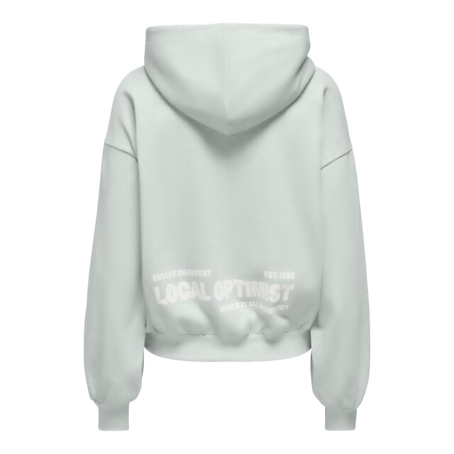 Only Onlofelia hoodie 15382081 large