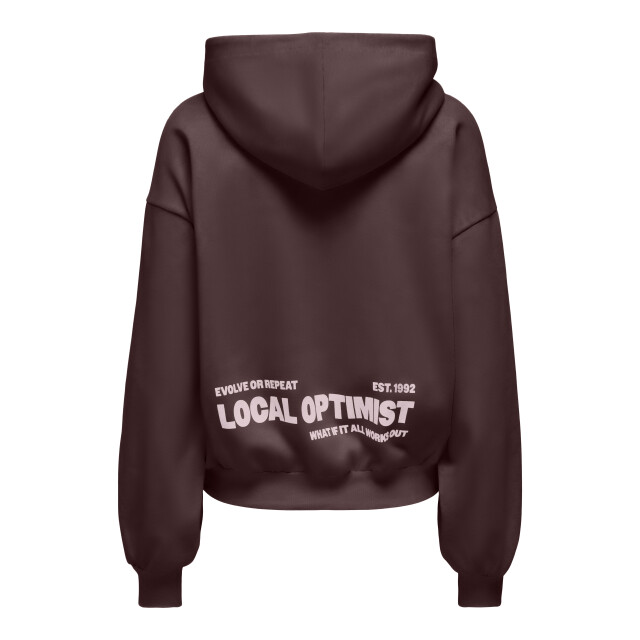 Only Onlofelia hoodie decadent chocolate 15382081 large