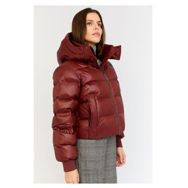 Moscow Marcy jackets 12-08-marcy 12-08-Marcy large