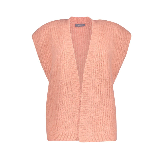 Geisha Mouwloos vest 64534-29 soft pink 64534029-521 large
