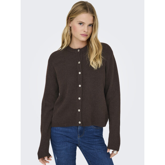 Only Simoni cardigan met ronde hals 15368980 large