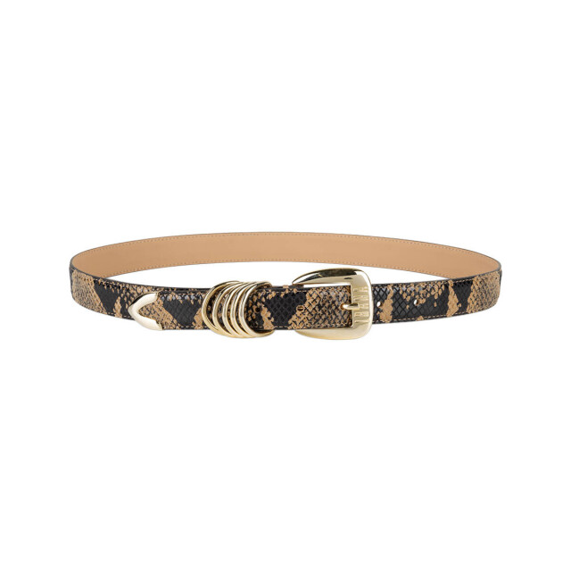 Ibana Riem 302640226 ary snake Ibana Riem 302640226 Ary Snake large
