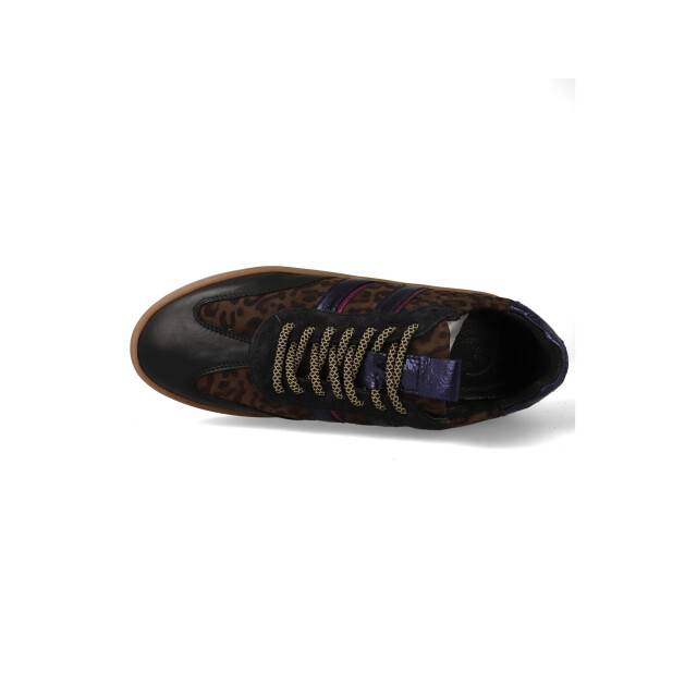 Posh by Poelman Sneakers anemone / bruin / paars LPANEMONE large