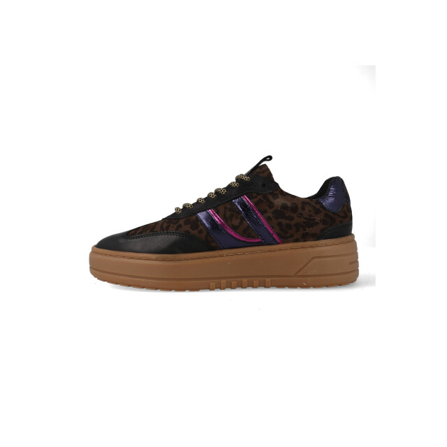 Posh by Poelman Sneakers anemone / bruin / paars LPANEMONE large