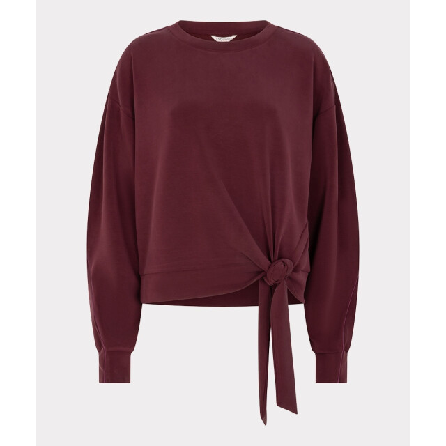 Esqualo Sweater f26-05502 merlot F26-05502 - Merlot large