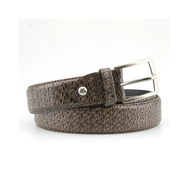 Floris van Bommel CFM-10096 Riemen Bruin CFM-10096 large
