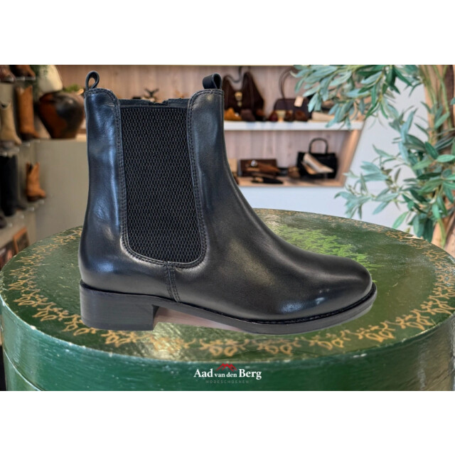 Everybody Damesschoenen enkellaarsjes Gianella 83890 A2015 large