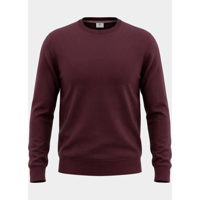 R2 Amsterdam Pullover heren structured crew neck 134.crew.002/080 211352 large
