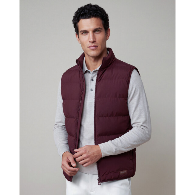 Cavallaro Cavallaro bodywarmer 114284-001-L large