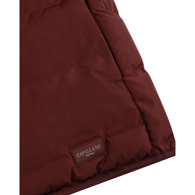 Cavallaro Cavallaro bodywarmer 114284-001-L large