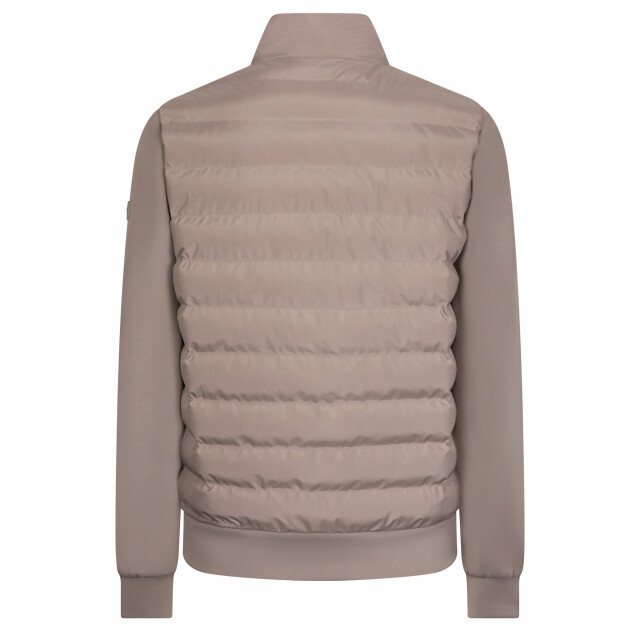 Cavallaro Cavallaro jack 114386-001-L large