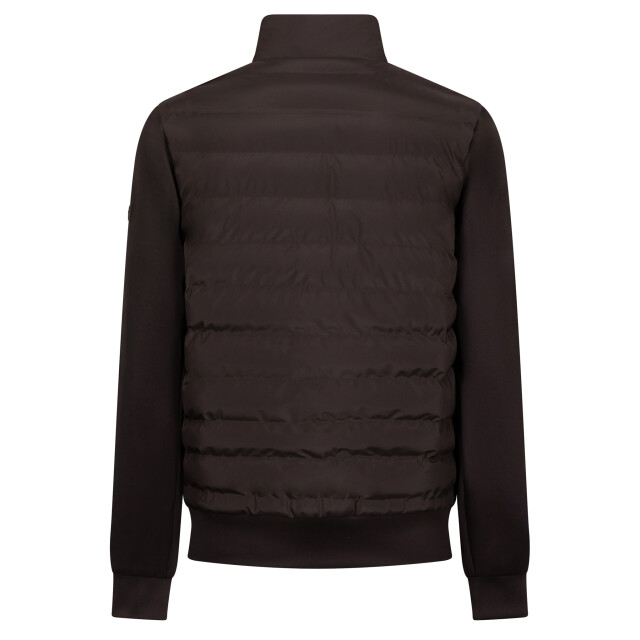 Cavallaro Cavallaro jack 114387-001-L large