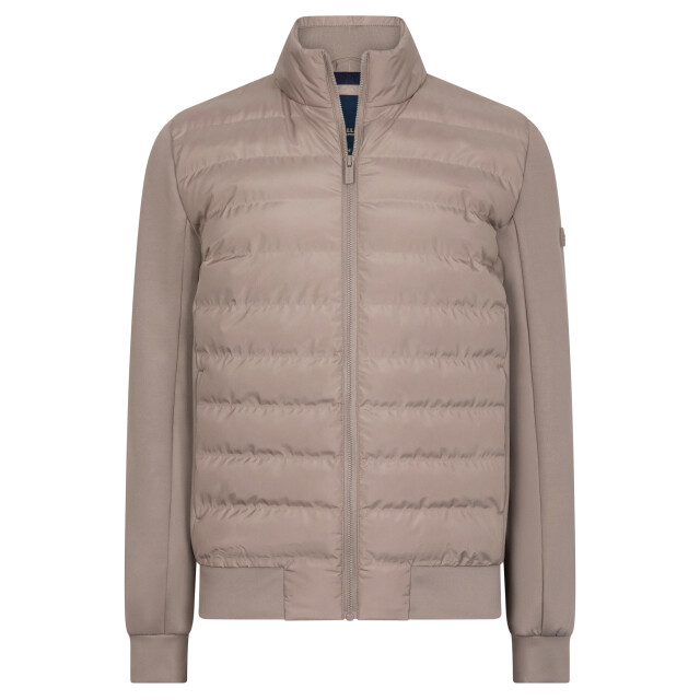 Cavallaro Cavallaro jack 114386-001-L large