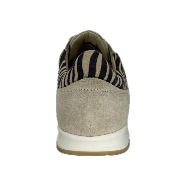 DL Sport Veterschoenen 6950 large