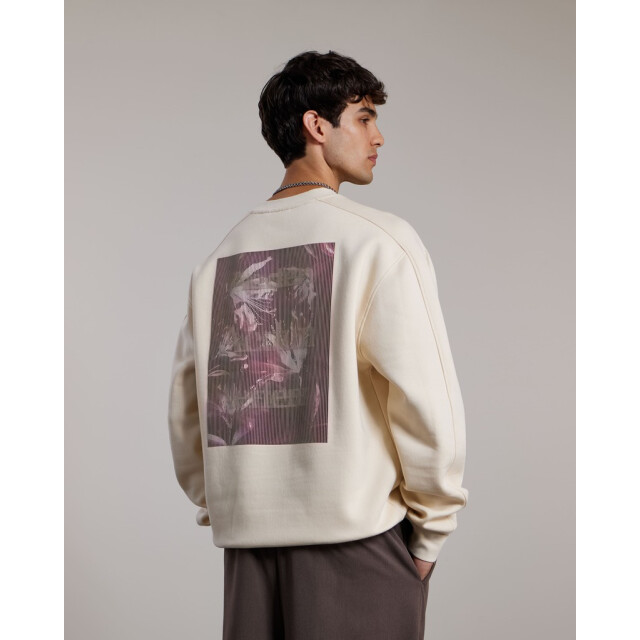 Aeden milon sweater a22243317 115 white cap grey 05735.940.0054 large