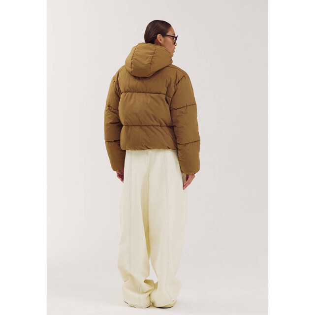 Harper & Yve Jack aw6n222 ibby Harper & Yve Jack AW6N222 IBBY large