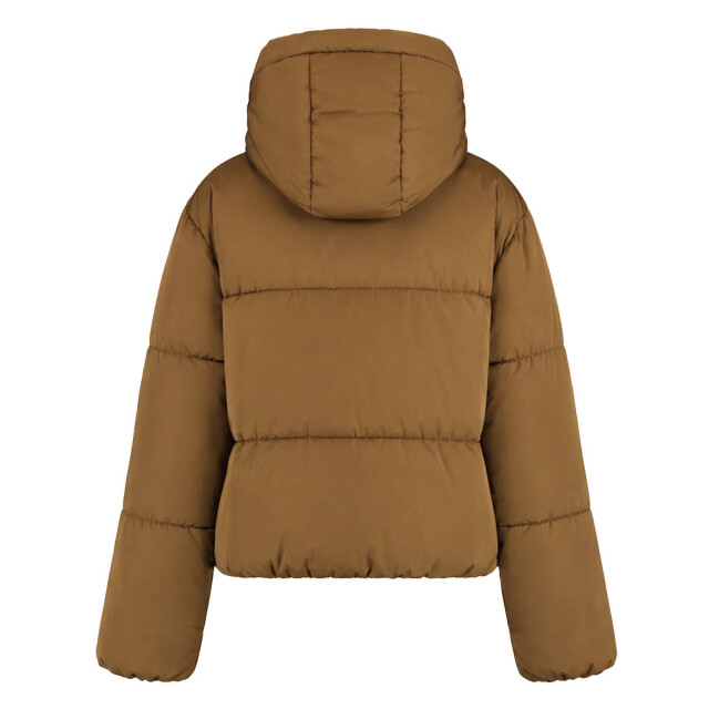 Harper & Yve Jack aw6n222 ibby Harper & Yve Jack AW6N222 IBBY large