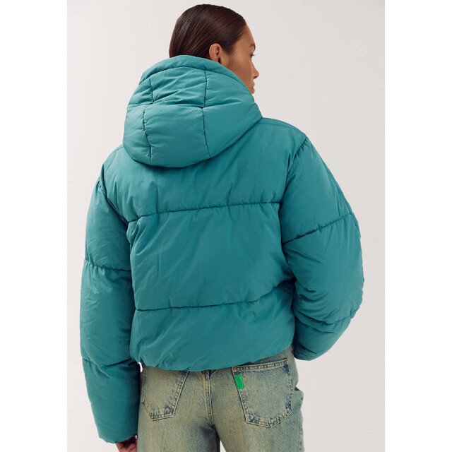 Harper & Yve Jack aw6n222 ibby Harper & Yve Jack AW6N222 IBBY large