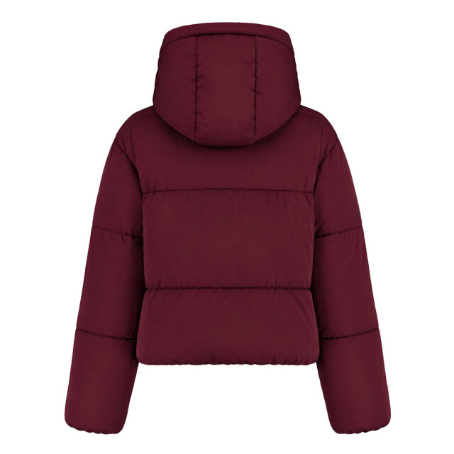 Harper & Yve Jack aw6n222 ibby Harper & Yve Jack AW6N222 IBBY large