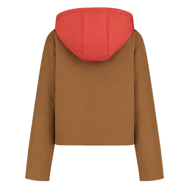 Harper & Yve Jack aw6n231 rowley Harper & Yve Jack AW6N231 ROWLEY large