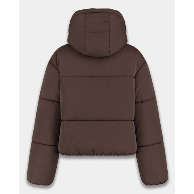 Harper & Yve Jack aw6n222 ibby Harper & Yve Jack AW6N222 IBBY large