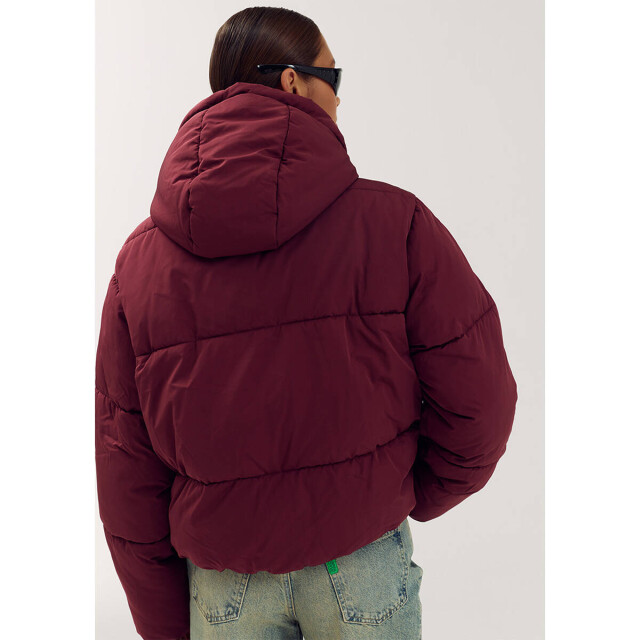 Harper & Yve Jack aw6n222 ibby Harper & Yve Jack AW6N222 IBBY large
