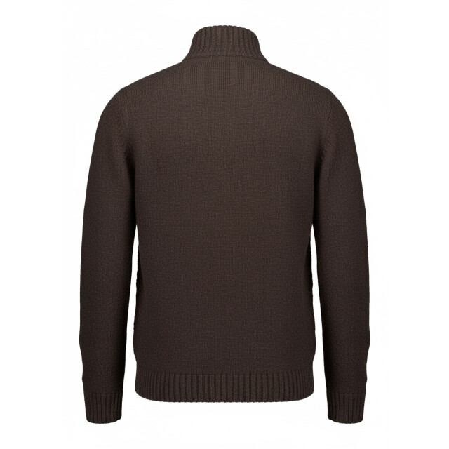 Gentiluomo Turtle ls truien k5177-267 K5177-267 large