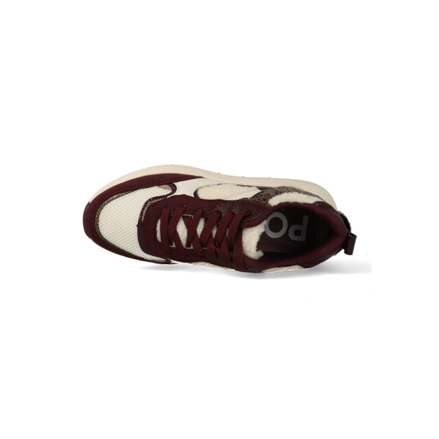 Posh by Poelman Sneakers caro 523 / bronze / off white C18582X27PSH8 large