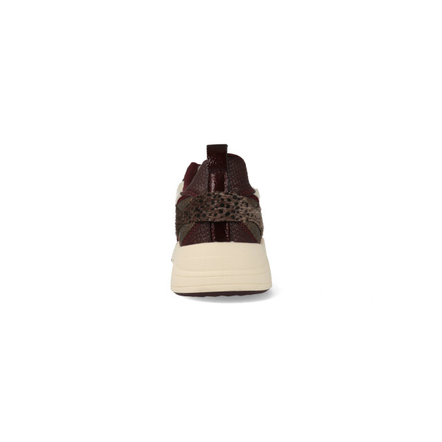 Posh by Poelman Sneakers caro 523 / bronze / off white C18582X27PSH8 large