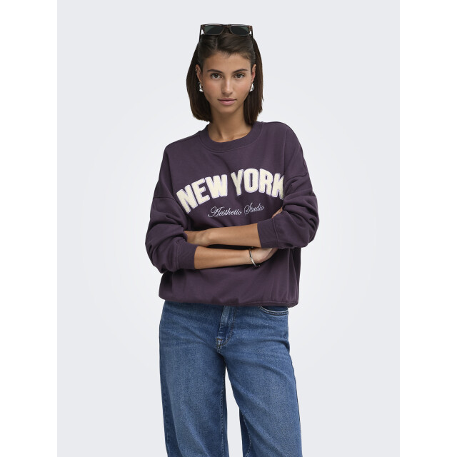 Jacqueline de Yong Jdymesa l/s o-neck emb sweat jrs no 15370526 large