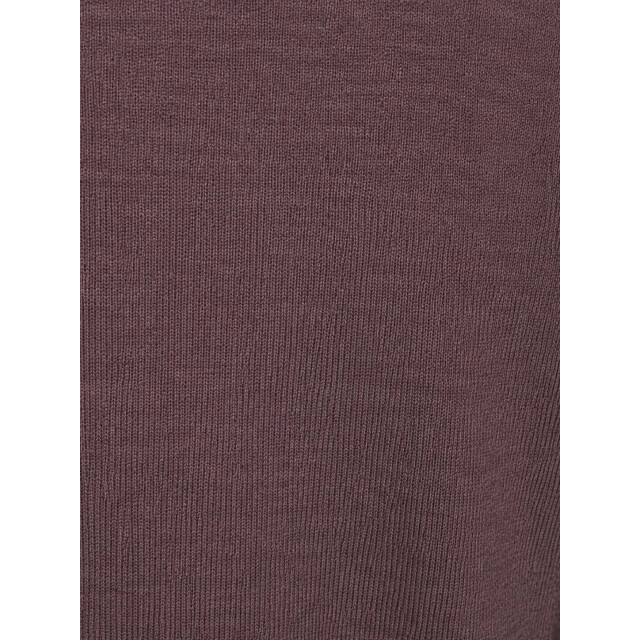 Profuomo Ppxj30028j merino mockneck aubergine PPXJ30028J large