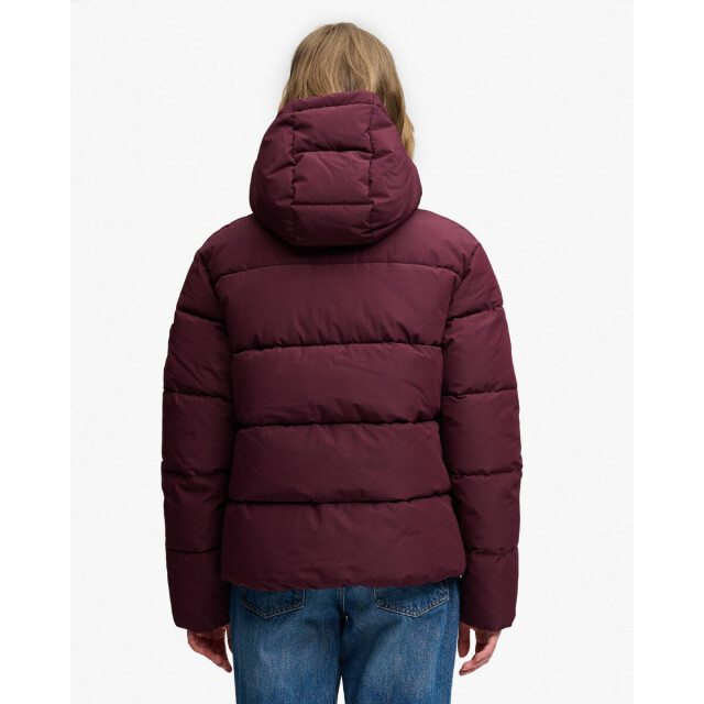 Superdry Jack w5012207a premium Superdry Jack W5012207A PREMIUM large
